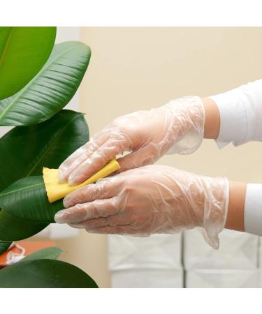 Schneider Clear Vinyl Exam Gloves Latex-Free Disposable Medical Gloves Cleaning Gloves Food Safe Powder-Free 4 mil Medium (Pack of 100) 100 - Buy Online on GoSupps.com