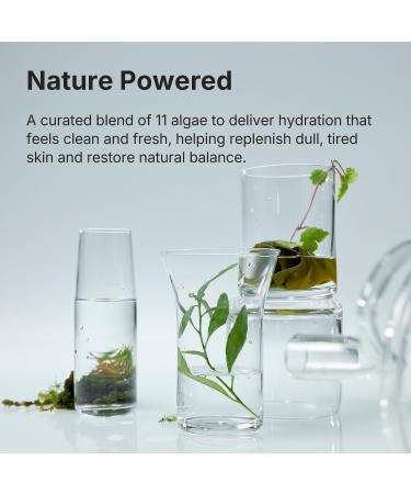 Coeternal Refreshing Hydration Toner Korean Face Toner with Hyaluronic Acid & Algae11 Hydrating & Calming for Glass Skin Dry or Oily Skin K-Beauty Skincare 150ml / 5.07 fl.oz. - Buy Online on GoSupps.com