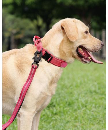 Joyal Tactical Dog Collar | Large Dog Collar with Handle & QR Code | Bright Pink XL - Durable & Stylish - Buy Online on GoSupps.com