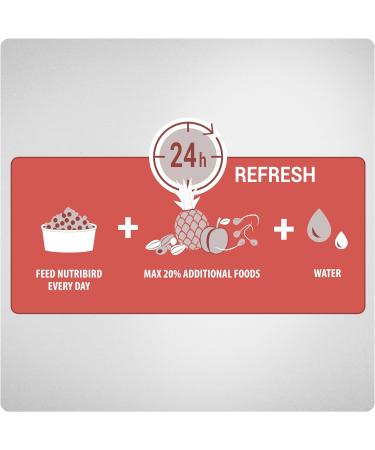 Versele-Laga NutriBird A21 - Premium Hand-Rearing Bird Food (250g) | High Protein for Healthy Growth - Buy Online on GoSupps.com