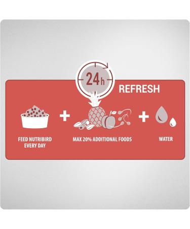 Versele-Laga NutriBird A21 | Double Pack | 2 x 800 g | Food for Hand Rearing Birds | to Support a Development - Buy Online on GoSupps.com