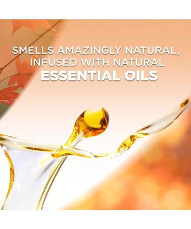 Air Wick Pumpkin & Brown Sugar Scented Oil Refill 7ct Fall Pack - Essential Oils Air Freshener - Buy Online on GoSupps.com