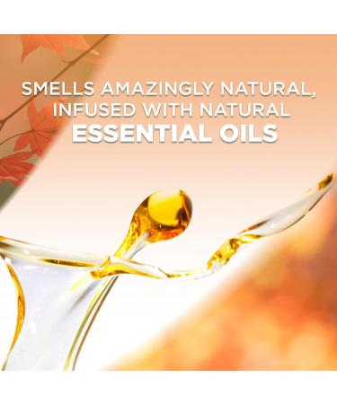 Air Wick Plug in Scented Oil Refill 7ct - Apple Cinnamon Medley Fall Scent | Essential Oils Air Freshener for International Shipping - Buy Online on GoSupps.com