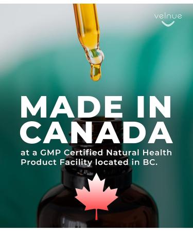 VELNUE Foaming Hand Sanitizer Refill Supply | Made in Canada with Moisturizing Aloe 70% Ethyl Alcohol Vitamin E | 1L Fragrance Free - 2 Bottles Fragrance Free 2-Pack - Buy Online on GoSupps.com