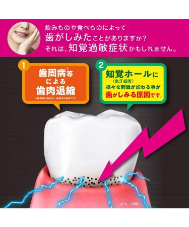  GUM Procare Gum (Non-Medicinals) Hypersensitive Toothpaste Hypersensitivity Condition High Concentration Fluorine Compound 1450ppm Unpolished 18g - Buy Online on GoSupps.com