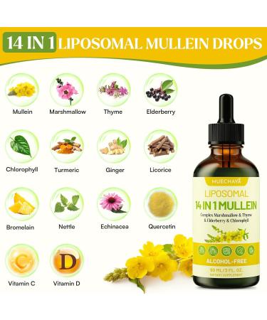 Mullein Drops For Lungs Liposomal 14 In 1 Mullein Leaf Extract For Lungs Mullein Drops with Elderberry Chlorophyll Thyme - for Lung Cleanse Detox Respiratory Immune Health 3 Fl 0Z Mint Flavor 3 Fl Oz (Pack of 1) - Buy Online on GoSupps.com