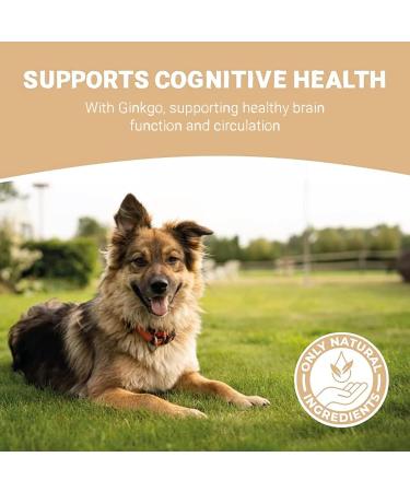 Pets Purest All Itch and Immunity Support Supplement Drops 50ml - Natural Skin Aid for Dogs & Cats - Paw Licking, Itchy Ears, Irritation, Watery Eyes - Buy Online on GoSupps.com
