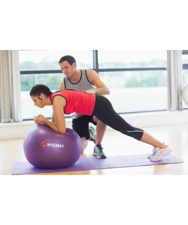 Wisemax Exercise Ball Chair Bundle - 65cm Gray with Ring Base, Resistance Bands, Pump, Carry Bag, Poster - Ideal for Home, Office, Gym Workouts - Buy Online on GoSupps.com