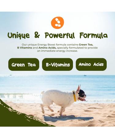 PetExx Energy Boost 100ml - Multivitamin Rehydration Immune Support Electrolyte Pet Supplement with Beta Glucans, Prebiotics, Amino Acids, Vitamins A E D3 & B12 - Green Tea Formula - Buy Online on GoSupps.com