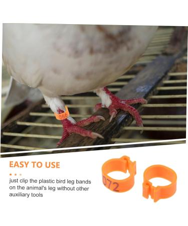 Beavorty 200 Pcs Pigeon Anklet Plastic Ducks Parrot Pigeon Identification Ring Baby The Bird Meat Pigeon 1.3X1.3CMx2pcs Orangex2pcs - Buy Online on GoSupps.com