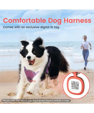 Pawaii Dog Harness for Small Dogs - Anti-Pull Reflective No-Choke Breast Harness with Handle (XS Orchid Purple) - Perfect Fit for Comfort - Buy Online on GoSupps.com