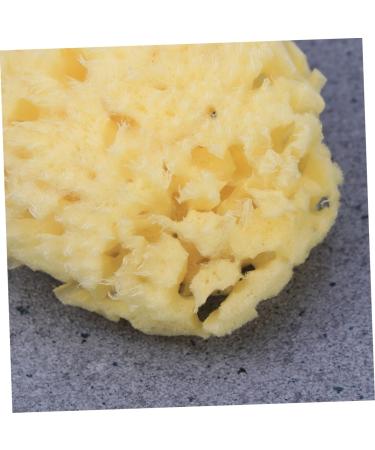 Beatifufu Shower Sponge Bath Sponge Seaweed Sponge Honeycomb Algae Sponge - Buy Online on GoSupps.com