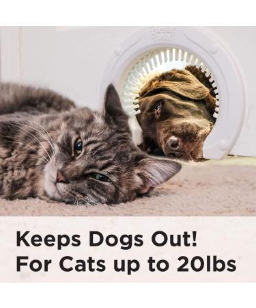 Large Cat Door with Grooming Brush - Easy Install for Adult Cats up to 20 lbs - Buy Online on GoSupps.com