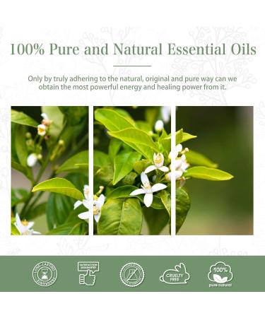 Premium Grade Neroli Essential Oil 30ML for Aromatherapy and Diffusers - 100% Pure Oils for Home | PHATOIL - Buy Online on GoSupps.com