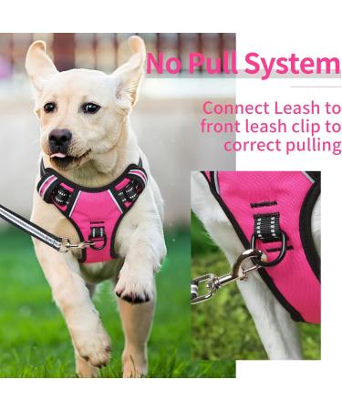 Heele Dog Crockery & No-Pull Harness | Reflective Breathable Padded for Medium Dogs - Rose - Buy Online on GoSupps.com