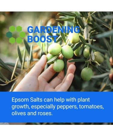 Hexeal Epsom Salt | 1kg Bag | Food Grade | Magnesium Sulphate salt 1 kg (Pack of 1) - Buy Online on GoSupps.com