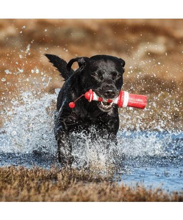 Rogz Lighthouse Floating Dog Toys - Durable & Fun for Water Play | International Shipping Available - Buy Online on GoSupps.com