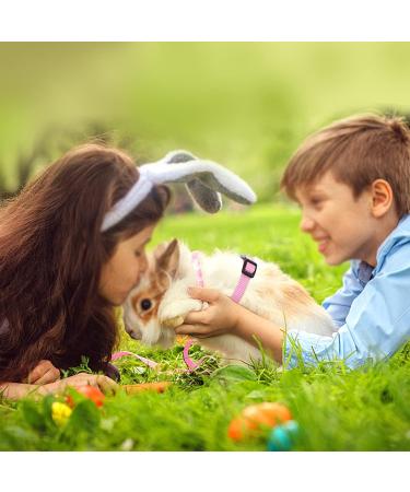 Adjustable Rabbit & Pet Harness Set - Blue & Pink Leash for Dogs Kittens Rabbits & Guinea Pigs | International Shipping - Buy Online on GoSupps.com