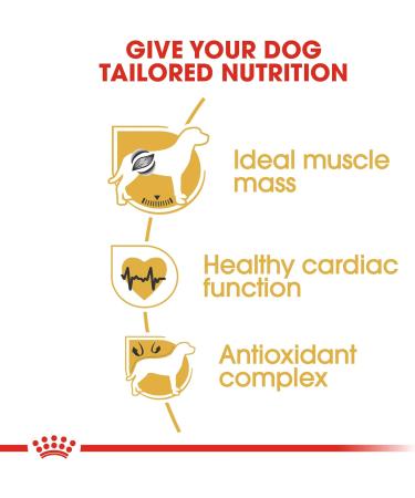 Royal Canin Dog Food Boxer 26 Dry Mix 12kg Poultry 12 g (Pack of 1) - Buy Online on GoSupps.com