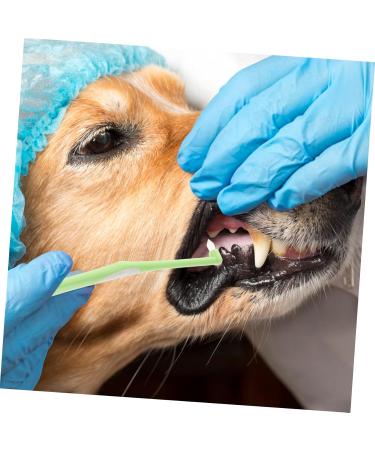 WOONEKY 1pc Pet Single Head Toothbrush Dog Toothpaste Cat Toothbrush Cleaning Kit Manual Plastic Care Brush - Buy Online on GoSupps.com