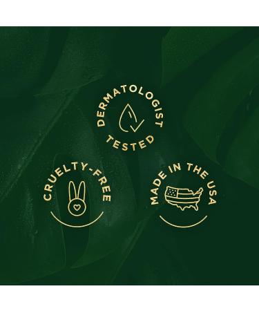 Tree of Life Age Defying Facial Skincare Regimen | Morning Revival Serum, Evening Youth Serum, Polypeptide Cream, Eyebright Eye Gel - 4 Piece Set - Buy Online on GoSupps.com