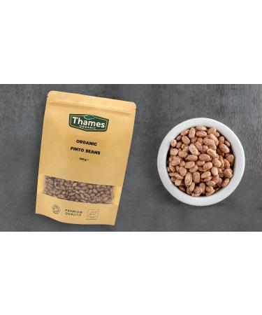 Organic Pinto Beans 500g - Buy Online on GoSupps.com