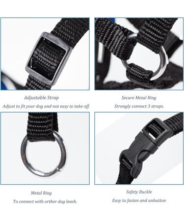 ILEPARK Adjustable Dog Halter Neck Band - Padded Fabric Prevents Pulling - Size M Orangegelb - International Shipping - Buy Online on GoSupps.com