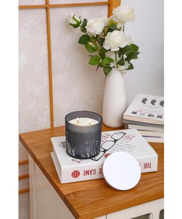 Buy White Sage Sea Salt 3 Wick Candle - 14.5 oz Soy Aromatherapy Candle for Home | Cleansing Energy Sage Scented Candle for Women & Men - Buy Online on GoSupps.com