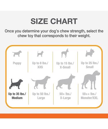 Durable Nylabone Dura Chew Beef Jerky - Power Chew Bones for Heavy Chewers | Medium for Dogs up to 16 kg - Multi-Colored - Buy Online on GoSupps.com