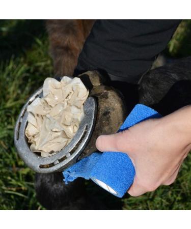 Signature Bigeloil Quilted Poultice Hoof Pad - 4 Pack - Clear Unisex 427944 - Buy Online on GoSupps.com