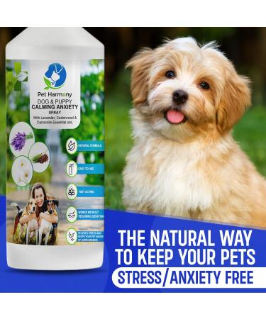 Pet Harmony Anxiety Calming Spray for Dogs & Puppies - 500ml - Natural Training Aid for Separation Anxiety & Stress Relief - Effective Soothing Formula 500 ml (Pack of 1) - Buy Online on GoSupps.com