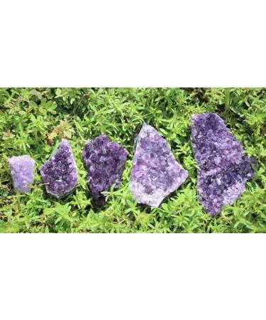 Home Decoration Amethyst Geode Crystal Quartz Uruguay Cluster Natural Specimen Stones Crystal Cluster (Color : 300g) - Buy Online on GoSupps.com