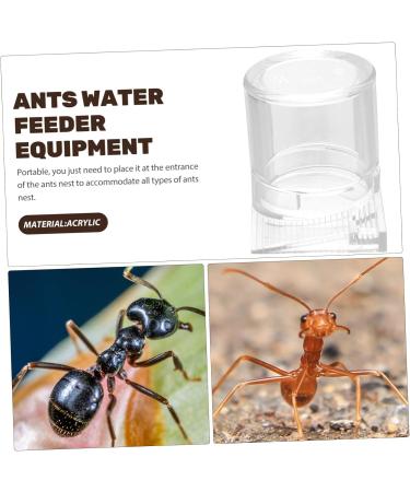 Didiseaon Pet Water Feeder Ant Nest Water Feeder Ants Feeding Device Ants Waterer Ant Feeder Climbing Pet Food - Buy Online on GoSupps.com