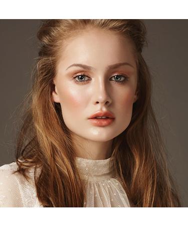 TOPBATHY Autocollants pour Sourcils Waterproof 12 Feuilles Marron Effet 6D Simulation Maquillage Transfert Sourcils R sistants L'Eau pour Entretien et D finition - Buy Online on GoSupps.com