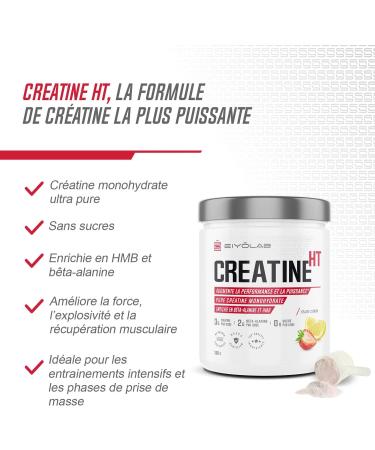 CREATINE HT | Pure Creatine Monohydrate Powder | Enriched with Beta-Alanine and HMB | Muscle Performance Booster | S - Buy Online on GoSupps.com