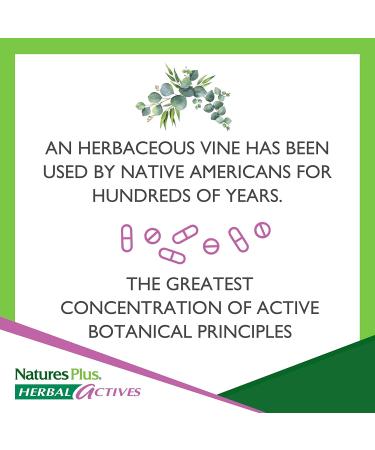 Nature's Plus Herbal Actives Passion Flower 250mg - 60 Vegetarian Capsules for Relaxation - Buy Online on GoSupps.com