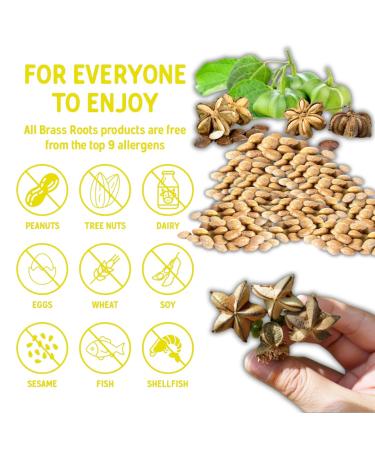 Brass Roots Roasted Inchi Seeds - Cinnamon Crunch - 12 Oz - Buy Online on GoSupps.com