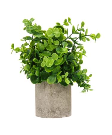 Zerodeko 4 Pcs Simulated Potted Plant Fake Green Plant Flowers Decoration Mini Succulent Plants Household Decor Fake Potted Plant Decor Desktop Ornament Cylinder Plastic Artificial Flower As Shownx4pcs 22x8cmx4pcs