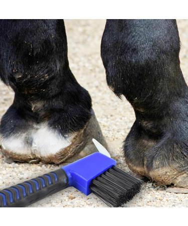 Bohue 4Pcs Horse Hoof Pick Brushes Stiff Bristled Brush with Soft Touch Rubber Handle Portable Hoof Pick Hoof Cleaner for Horses and Goat - Buy Online on GoSupps.com