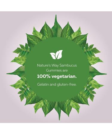 Nature's Way Sambucus Cold and Flu Relief Elderberry Gummies for Kids Used in Herbal Medicine to Help Relieve Symptoms (Cough Runny Nose and Sore Throat) in Children age 3+ 60 Gummies - Buy Online on GoSupps.com