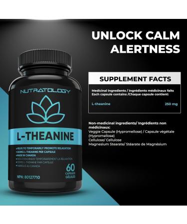 L-Theanine 250MG Capsules - For Stress Management & Relaxation - Promotes Focus Alertness & Clarity - L Theanine Supplement for Stress Relief - 250 mg per capsule - 60 Capsules 60 count (Pack of 1) - Buy Online on GoSupps.com