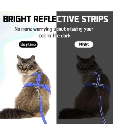 Supet Cat Dishes & Line Set - Perfect Feeding Solution for Kittens | International Shipping Available - Buy Online on GoSupps.com