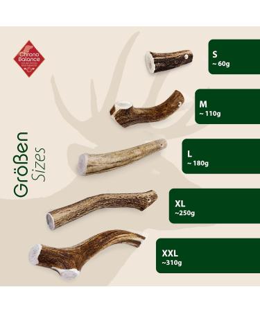 Chronobalance L Antlers for Dogs - 100% Natural Deer Antler Dog Toys & Treats Dental Care Kausnack Whole Piece - Additive-Free - Buy Online on GoSupps.com