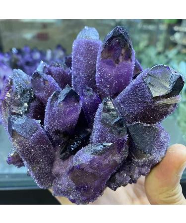 Natural Purple Quartz Crystal Cluster Specimen Suitable for Home Crystal Cluster (Size : 750-800g) - Buy Online on GoSupps.com