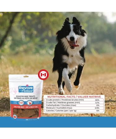 Revive Active Roasted Beef Treats for Dogs 240gr Dog and Puppy Chews - Pure and All Nutritive Low Calorie Training Treats - Large and Small Dogs Flavor Dogs Love. 240 g (Pack of 1) - Buy Online on GoSupps.com