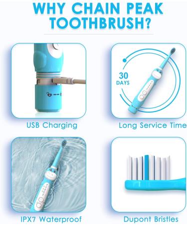 Dinosaur Electric Toothbrush for Kids | Sonic Toothbrush with Timer & Reminder | Rechargeable | Ages 3-12 | 5 Modes | Blue | Includes 4 Brush Heads & Wall-Mounted Holder - Buy Online on GoSupps.com