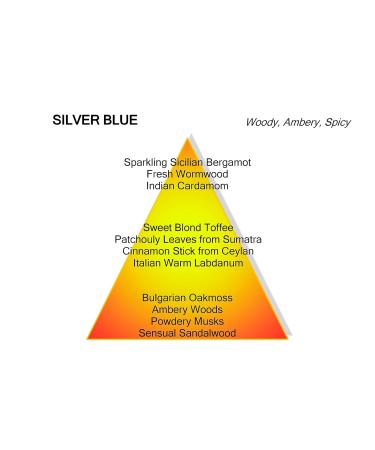MANCERA Silver Blue Eau de Parfum 120ml - Buy Online on GoSupps.com