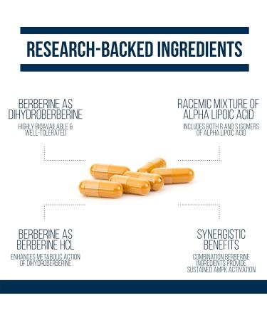 Dr. Westin Childs Dihydroberberine Supplement 200 mg for Women & Men Cardiovascular Gut Thyroid & Immune Support with Alpha Lipoic Acid - May be 5X More Effective Than Berberine HCL | 60 Ct - Buy Online on GoSupps.com
