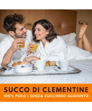 Valle del Crati Clementine Juice 100% Pure No Added Sugars and No Colourings or Preservatives Delicious and Refreshing Juice 6 bottles of 720ml - Buy Online on GoSupps.com