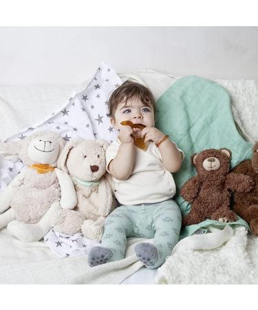 Buy Green Woodpecker Organic Bite Ring - Natural Rubber Baby Teether BPA Free Soft Gum Massager & Motor Skills Toy - Brown Turtle (639-V2) - Buy Online on GoSupps.com